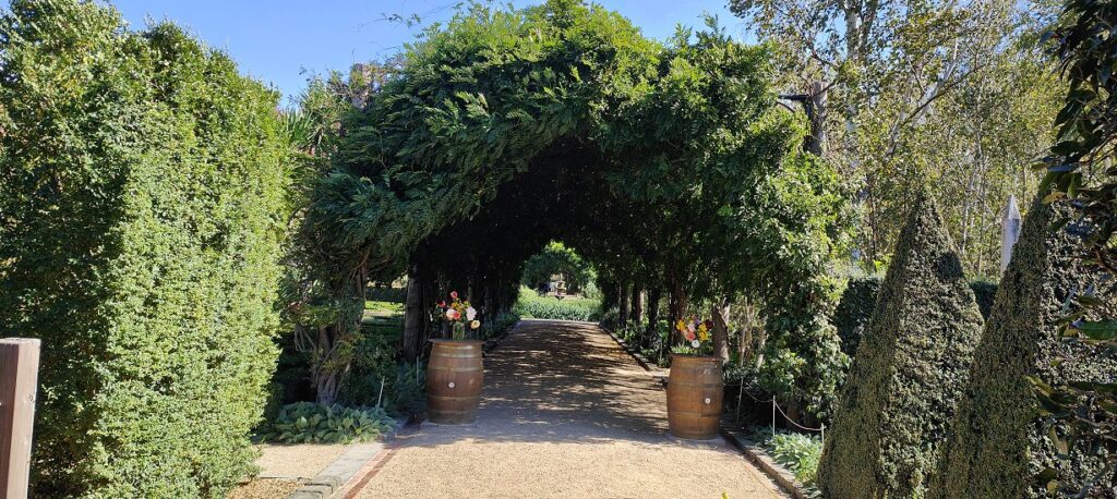The Wisteria Arbor (not in flower unfortunately)